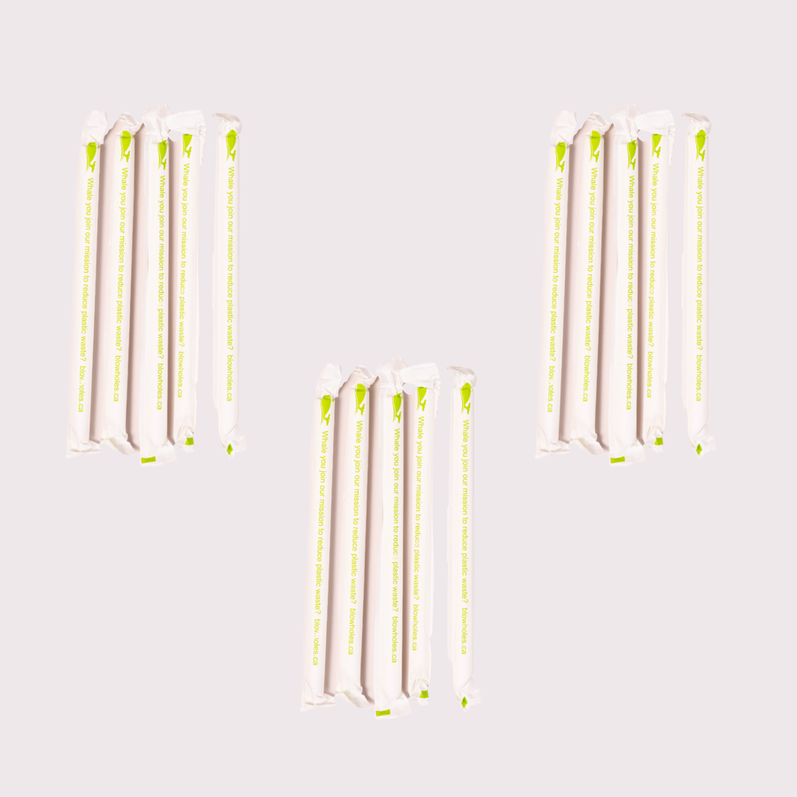 Paper Straws for Bubble Tea